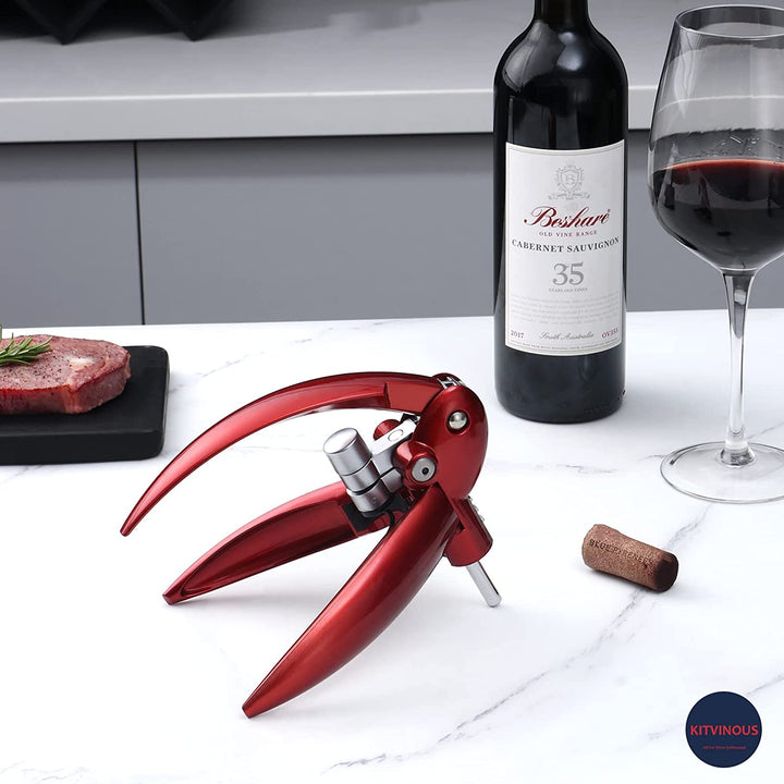 Wine Opener, KITESSENSU Easy Lever Wine Corkscrew with No-Stick Worm,  6-Piece Wine Bottle Opener Set with Foil Cutter, Bottle Stopper, Pourer,  Extra